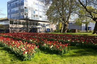 20160503_094024