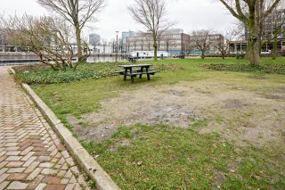 Voorwerf