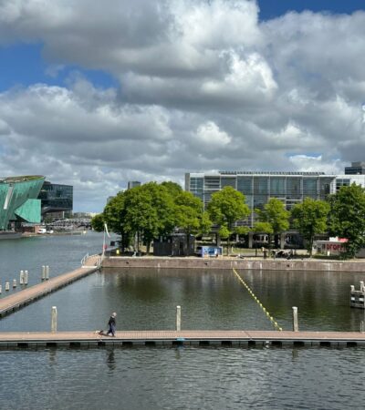 IMG_2347 IMG_2347