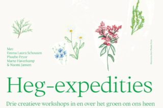Hegexpeditie