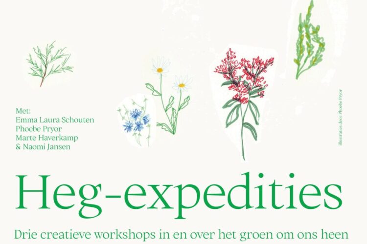 Hegexpeditie
