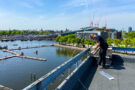 IMG_2245 (1)