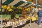 IMG-20251001-WA0008