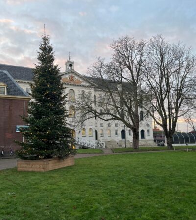 kerstboom Marineterrein