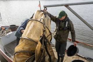 Boezemgemaal Halfweg - 18