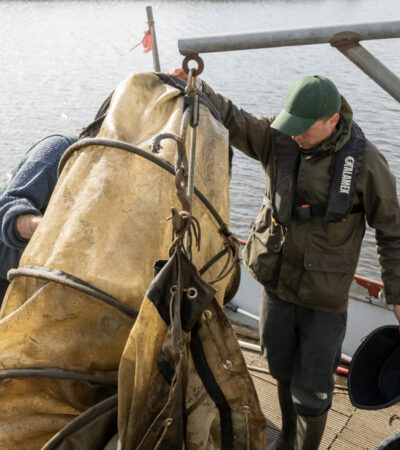 Boezemgemaal Halfweg - 18