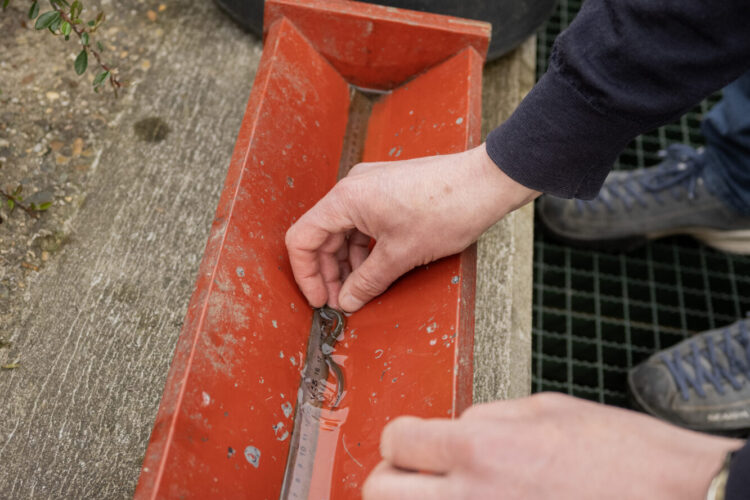 Meten van een grotere aal