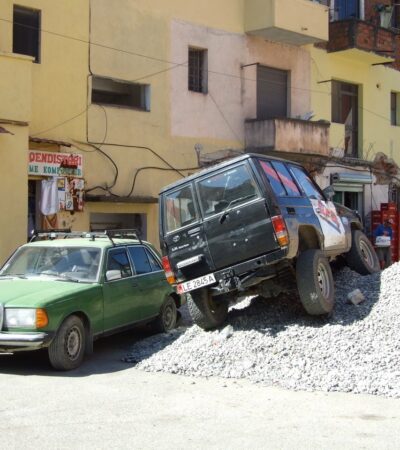 kunst in de heg mei Su Tomesen