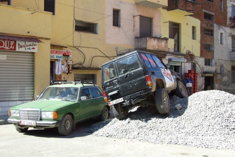 kunst in de heg mei Su Tomesen