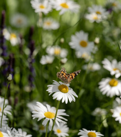Foto door Randy Fokke
